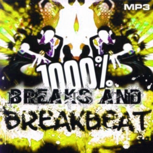 1000 % BreakBeat Vol. 111 (2017)