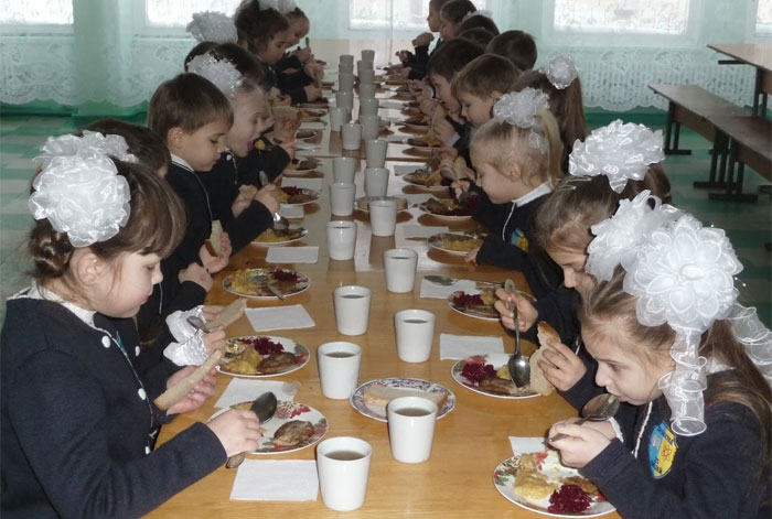 Учнів початкових класів у Полтавському районі годуватимуть за рахунок районного бюджету