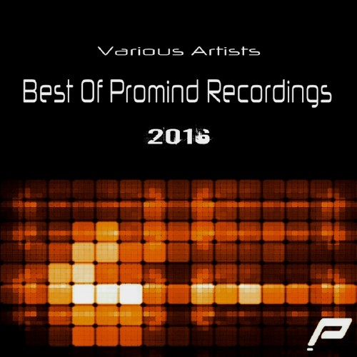 Best Of Promind Recordings 2016 (2017)