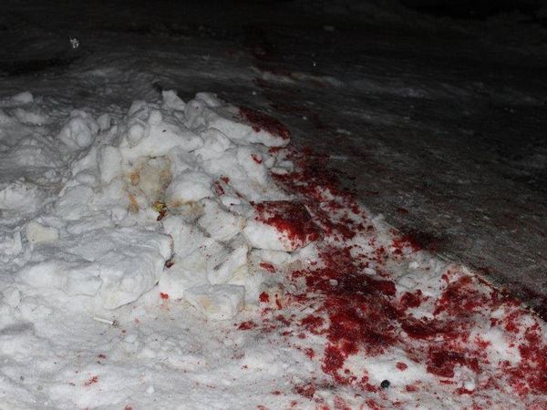 На Житомирщине ночью произошли вооруженные разборки из-за янтаря: есть погибшие(фото)
