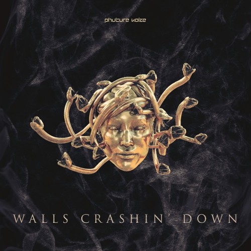 Phuture Noize - Walls Crashin Down (2017)