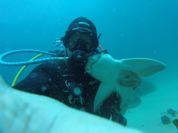Дайвер из Австралии подружился с акулой: фото