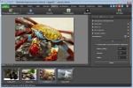 NCH PhotoPad Image Editor Pro 3.00 Portable (ML/Rus)
