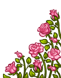 Куст роз