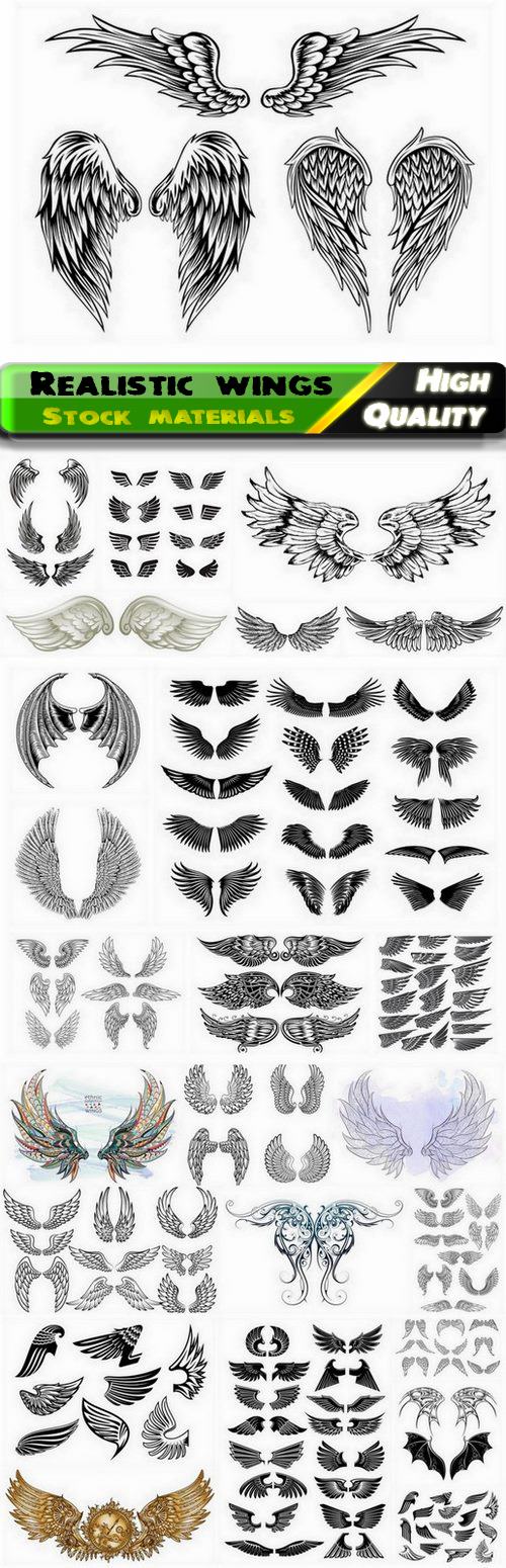 Realistic bird wings with feathers and tattoo wing 25 Eps