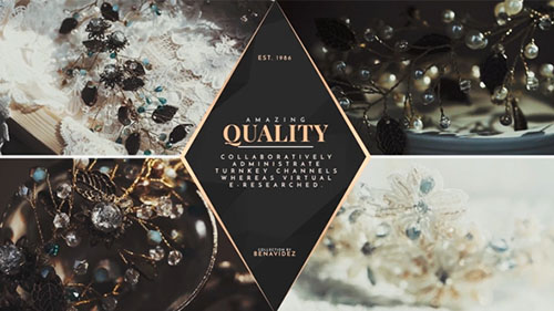 Premium Product Slides - Project for After Effects (Videohive)