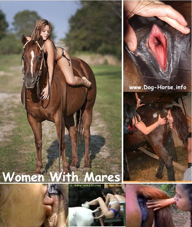 bdbb6e4815b6288e4d7eed914065335c - Women With Mares - Animal Porn Bestiality Collection