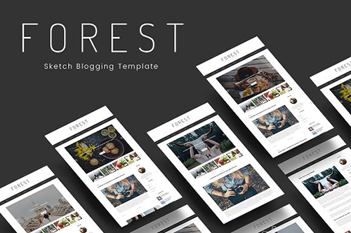 Forest - Minimal Blogging Template - CM 1255952