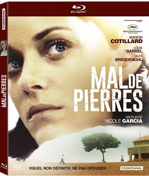   / From the Land of the Moon / Mal de pierres (2016/BDRip/HDRip)
