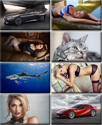 LIFEstyle News MiXture Images. Wallpapers Part (1173)