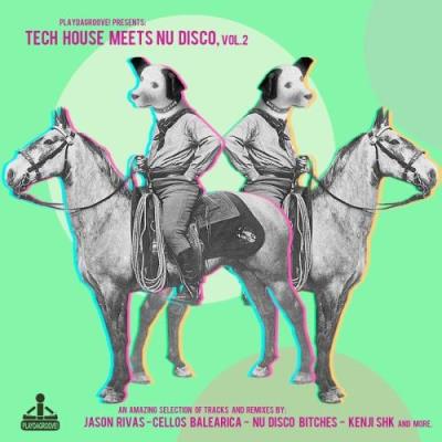 Tech House Meets Nu Disco, Vol. 2 (2017)