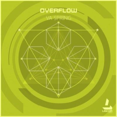 Overflow (2017)