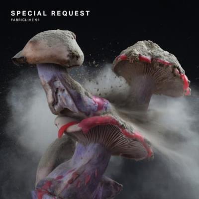FABRICLIVE 91: Special Request (2017)