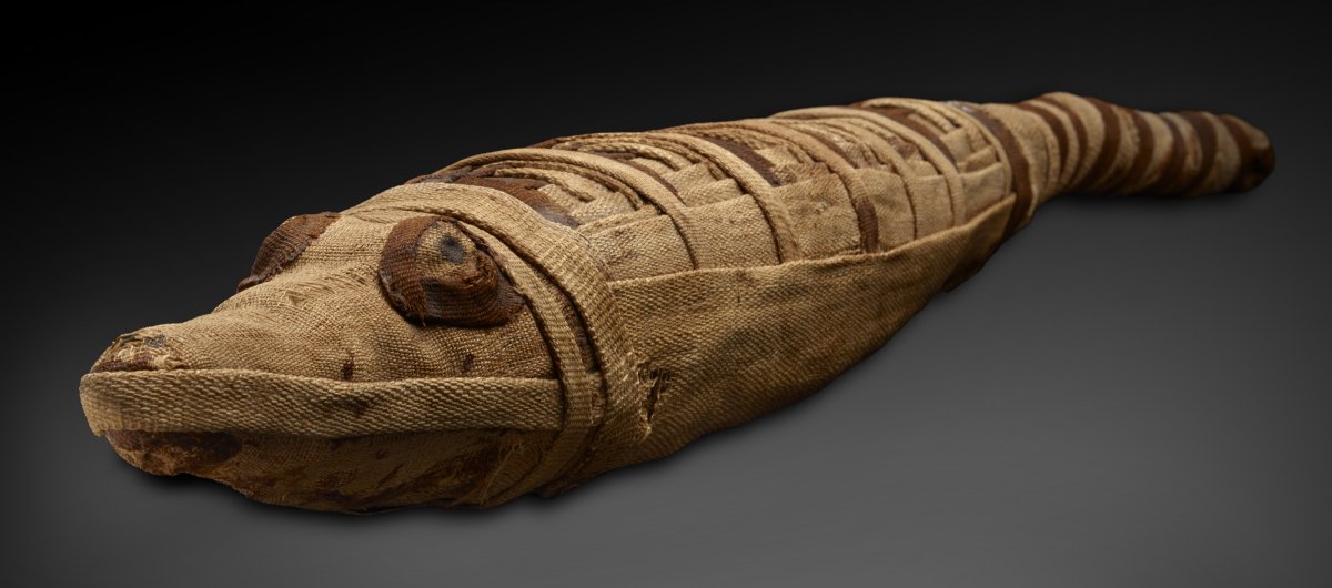 Нынешние технологии позволяют выведать самые заветные секреты мумий