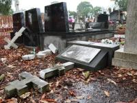 На Херсонщине всем отделением полиции сутки разыскивали буйного психически больного, обделавшего погром на кладбище