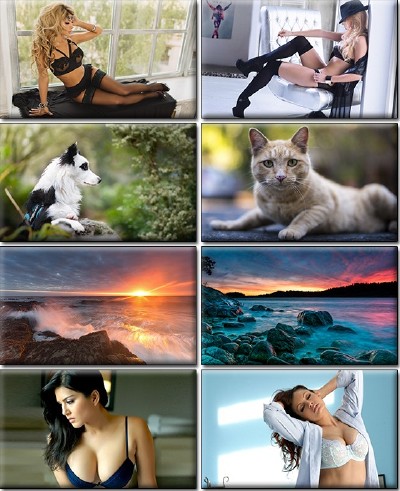 LIFEstyle News MiXture Images. Wallpapers Part (1204)