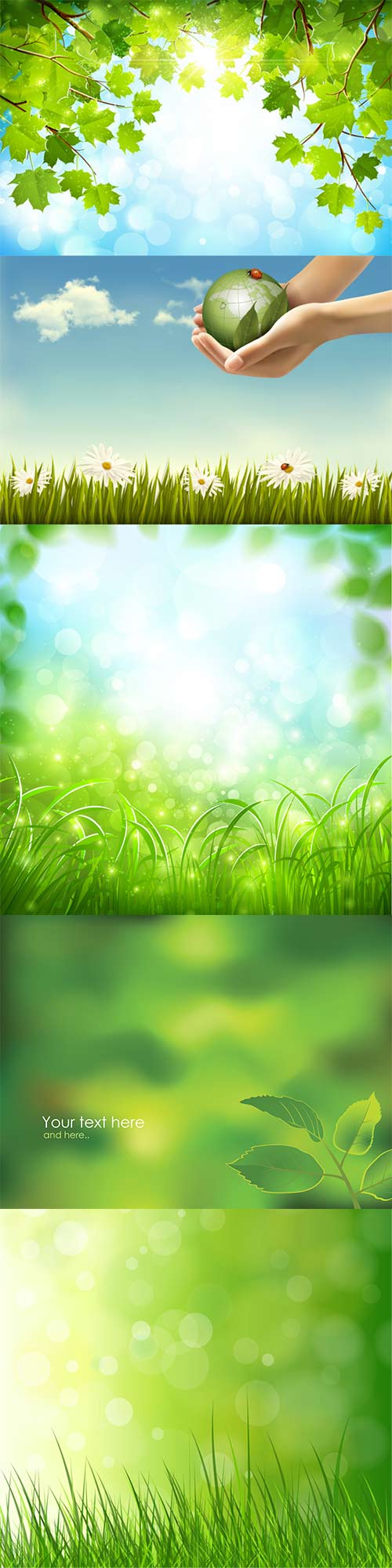 Spring backgrounds vector nature
