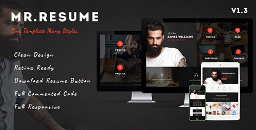ThemeForest - Mr.Resume v1.3 - One Page Resume/Personal HTML Template - 11394509