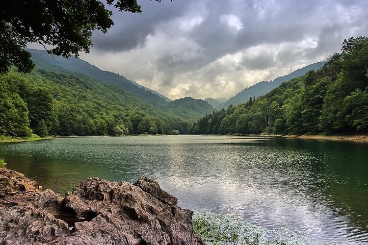 В Черногории «Биоградска гора» открывается для туристов 15 апреля