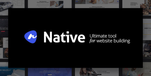 NULLED Native v1.0.5 - Powerful Startup Development Tool - WordPress Theme  