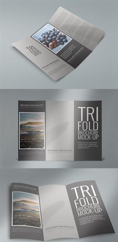 Tri-Fold Brochure Mock Ups