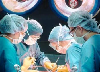 Правительство планирует активизировать создание системы трансплантации