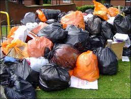 Львовский облсовет выделил 15 млн грн городам области, согласившимся принимать мусор из Львова