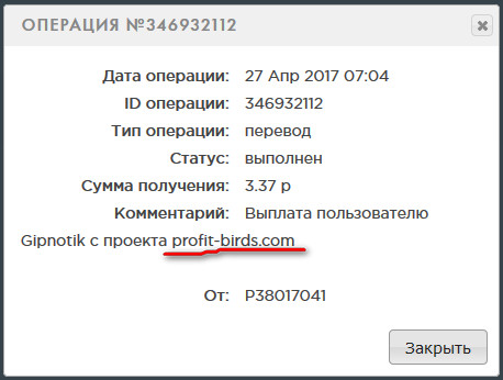 Profit-Birds -      Money-Birds