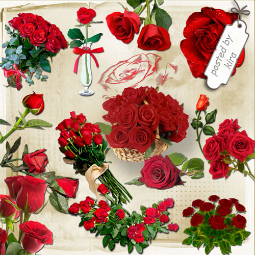 Клипарт - Красные розы в png