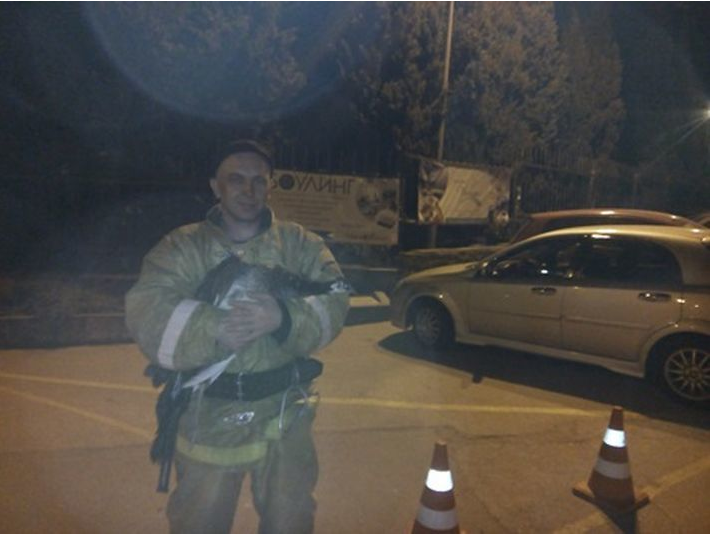 На пожаре в Крыму избавили павлина [фото]