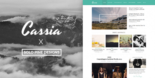 Download Nulled Cassia v1.1 - A Responsive WordPress Blog Theme pic