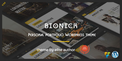 Download Nulled Bionick v3.0 - Personal Portfolio WordPress Theme  