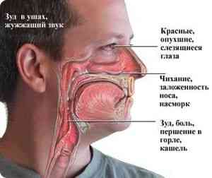Аллергия заложен нос