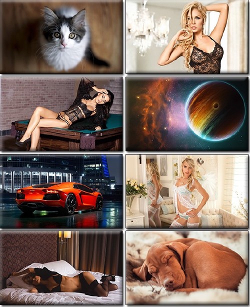 LIFEstyle News MiXture Images. Wallpapers Part (1222)