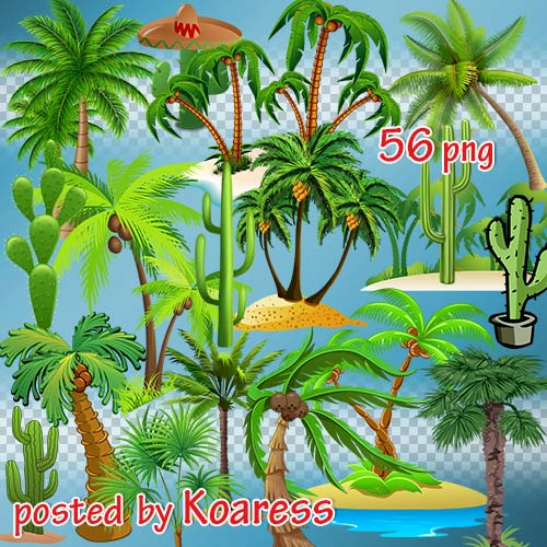 Png клипарт для фотошопа - Нарисованные пальмы, кактусы, тропические остров ...