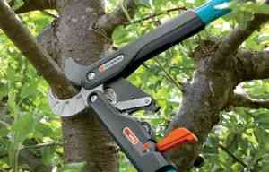 Садовый инструмент для обрезки деревьев и кустов