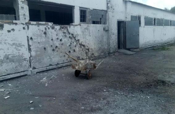 По факту обстрела свинофермы в прифронтовом селе на Донетчине разинуто уголовное производство(фото)