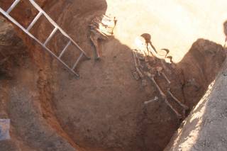 На Днепропетровщине археологи нашли останки скифской амазонки