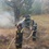 В двух областях Украины горят леса