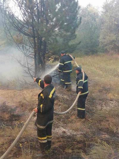 К тушению "ползущих" пожаров на Николаевщине привлекли военных(фото)