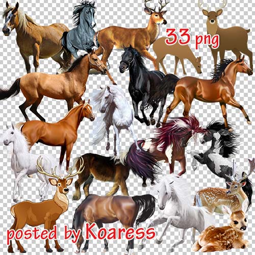 Png клипарт - Олени и лошади