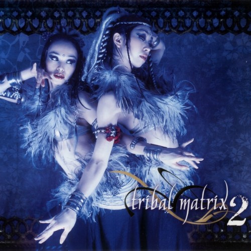 Various Artists  - Tribal Matrix 2