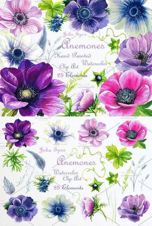 Watercolor Flowers ClipArt. Anemones 1321430