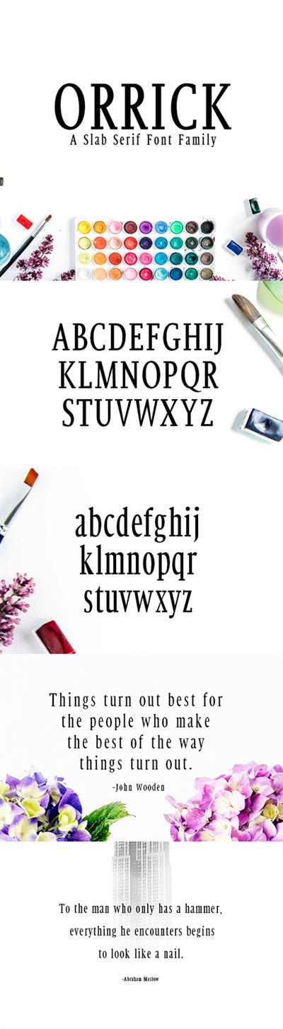 Orrick Slab Serif Font Family 20336031