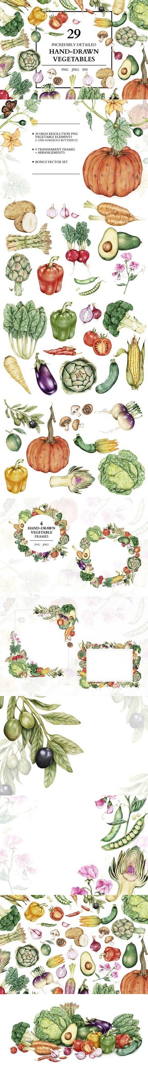 29 Incredible hand-drawn vegetables 1734414