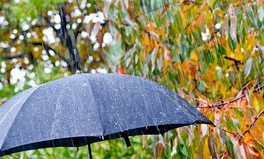Погода в Украине на взялось сентября: дожди с грозами и потепление
