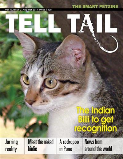 Tell Tail - August-November 2017