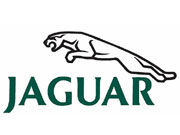 Jaguar представит съемный «умный руль» / Новости / Finance.UA