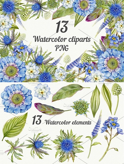 Blue Watercolor floral clipart. PNG 1388323