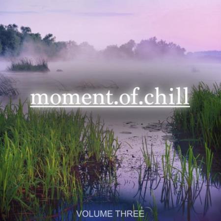 Moment Of Chill, Vol. 3 (2017)
